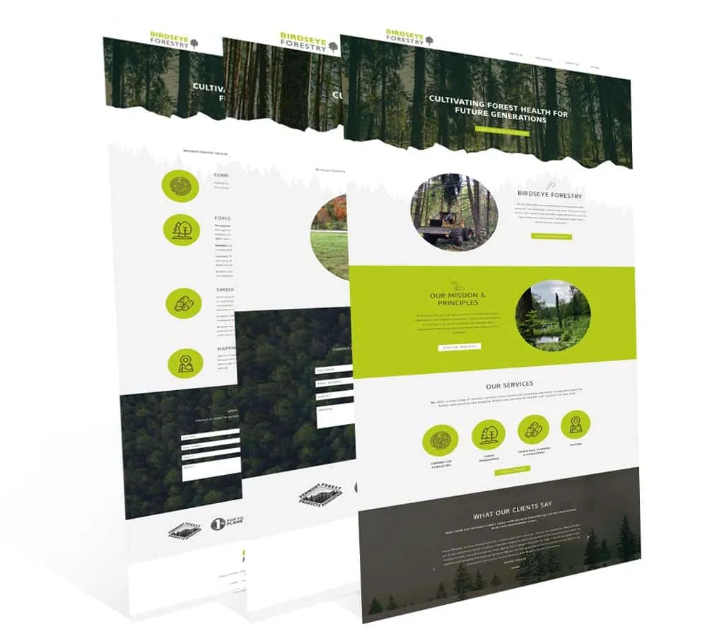 Birdseye Forestry — vista del sitio web